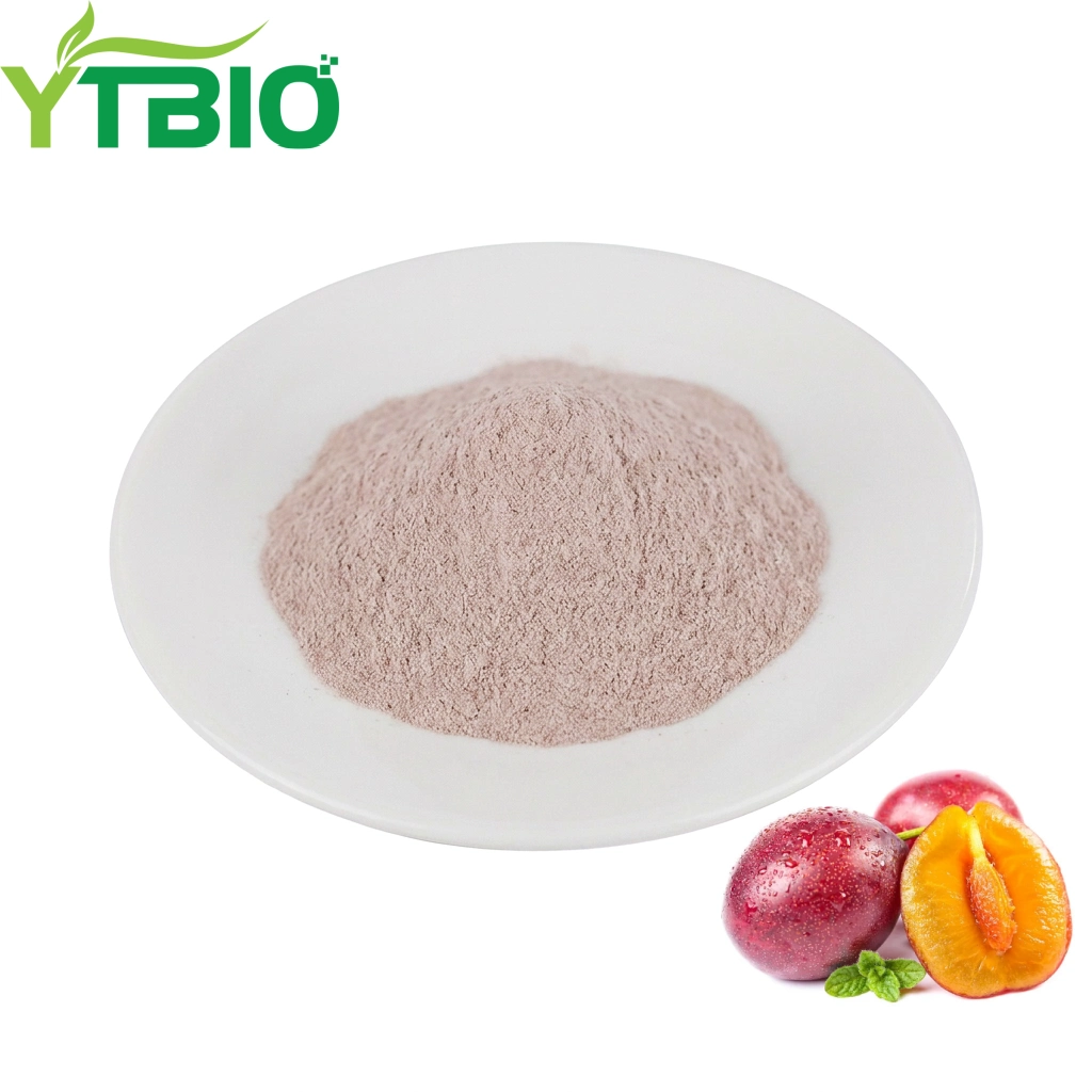Prune Juice Powder